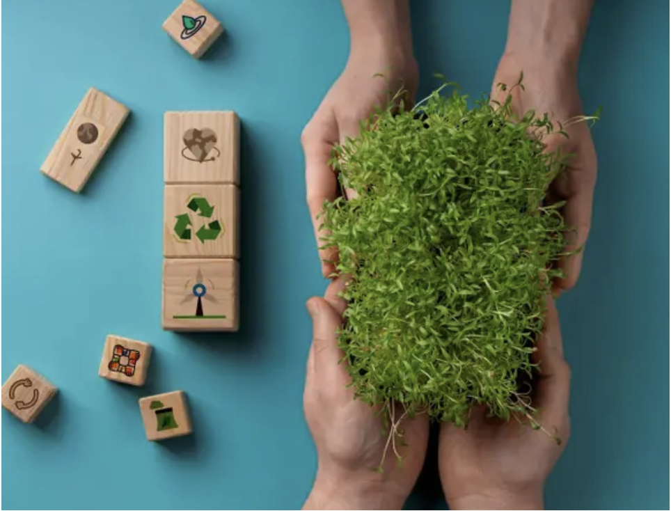 Nuestra Estrategia de Sostenibilidad