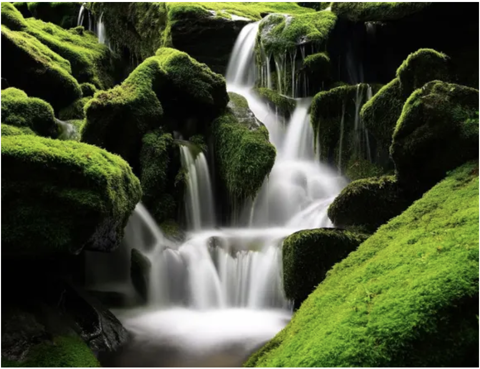 Conoce Nuestras Iniciativas