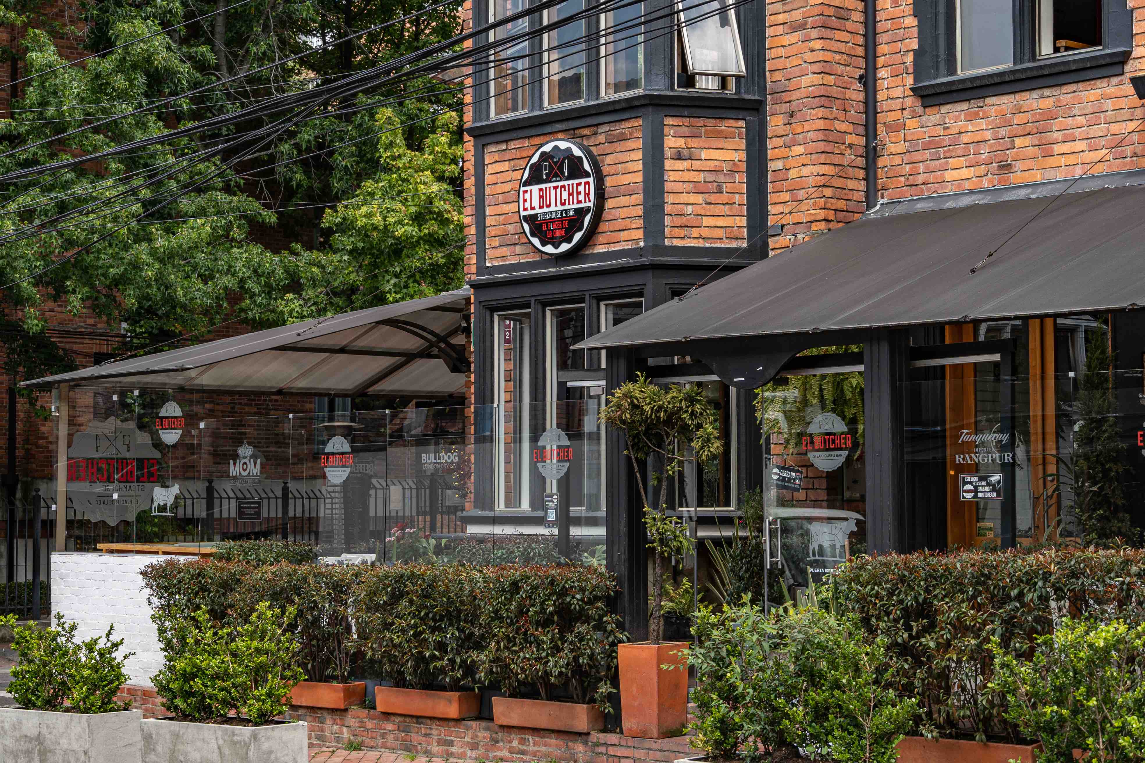 Zona G - Gastronomía